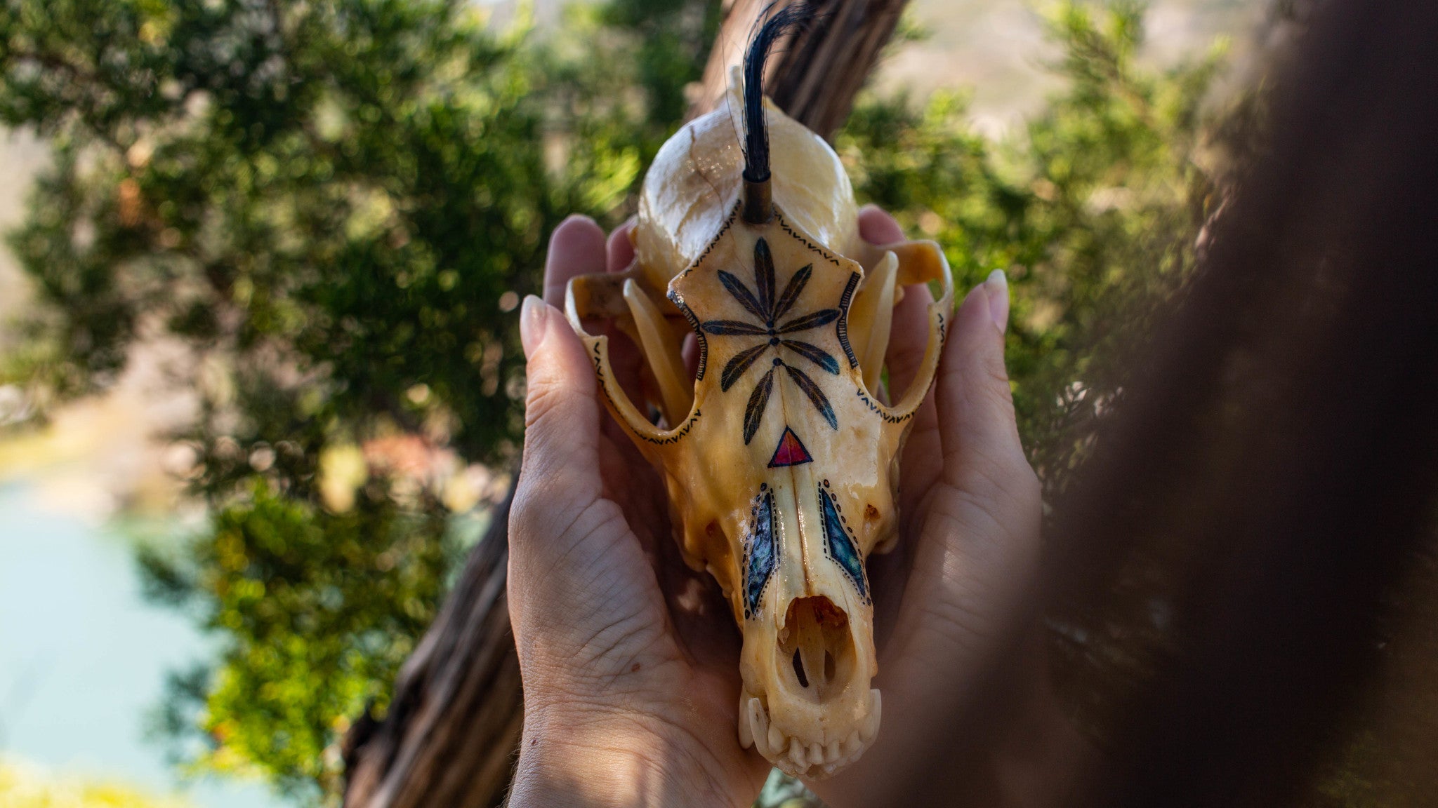 Hand-Painted Vintage Coyote Skull